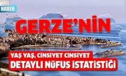 İşte Gerze'nin Detaylı Nüfus Haritası