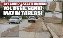 Samsun Caddesi Aylardır Asfaltlanmıyor