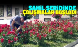 Gerze Sahili Yazı Karşılamaya Hazırlanıyor