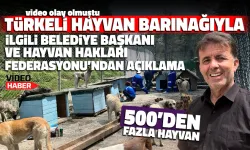 Türkeli Hayvan Barınağıyla İlgili Yetkililerden Açıklama
