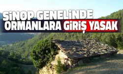 Ormanlık Alanlara Girişler Yasaklandı