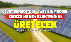 Gerze'ye Güneş Enerjisi Tarlası Kurulacak