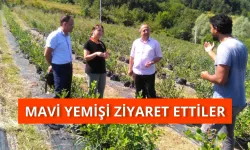 Mavi Yemişi Ziyaret Ettiler