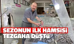 Gerze'de İlk Hamsi Tezgaha Düştü
