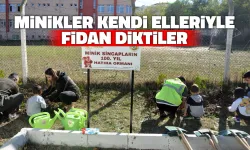 Minikler Kendi Elleriyle Fidan Diktiler