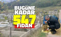 Vefat Eden Her Bir Vatandaş İçin Bir Ihlamur Fidanı