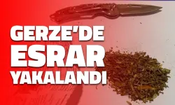 Gerze'de Esrar Ele Geçirildi