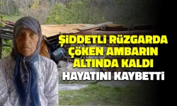 Yiyecek Almak İçin Gittiği Ambar Yaşlı Kadına Mezar Oldu