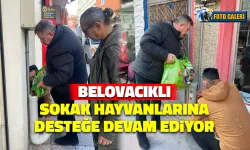 Osman Belovacıklı Sokak Hayvanlarına Sahip Çıkmaya Devam Ediyor