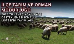 Anaç Koyun Keçi Desteklemesi İçin İcmal-1 Listesi İlan Edildi