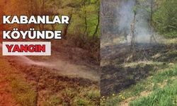 Kabanlar Köyü'nde Arazi Yangını
