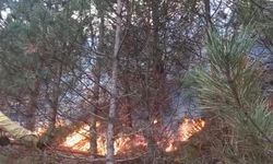 Kuzsökü Köyü'ndeki Yangına Hızlı Müdahale