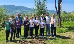 Gerze'de Öğrenciler Geleceğe Nefes Oldu: Yöresel Ağaç Dikim Kampanyası Başladı