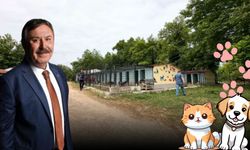 Belediye Başkanı Osman Belovacıklı'dan Sokak Hayvanları İçin Anlamlı Proje