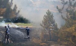 Belören Köyü'nde Çıkan Anız Yangını Ormanlık Alana Sıçradı