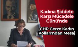 CHP Gerze Kadın Kolları: "Şiddete Karşı Tek Yürek Olduk"