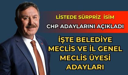 CHP'nin Meclis Üyesi Adayları Belli Oldu