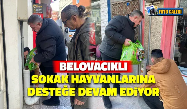 Osman Belovacıklı Sokak Hayvanlarına Sahip Çıkmaya Devam Ediyor
