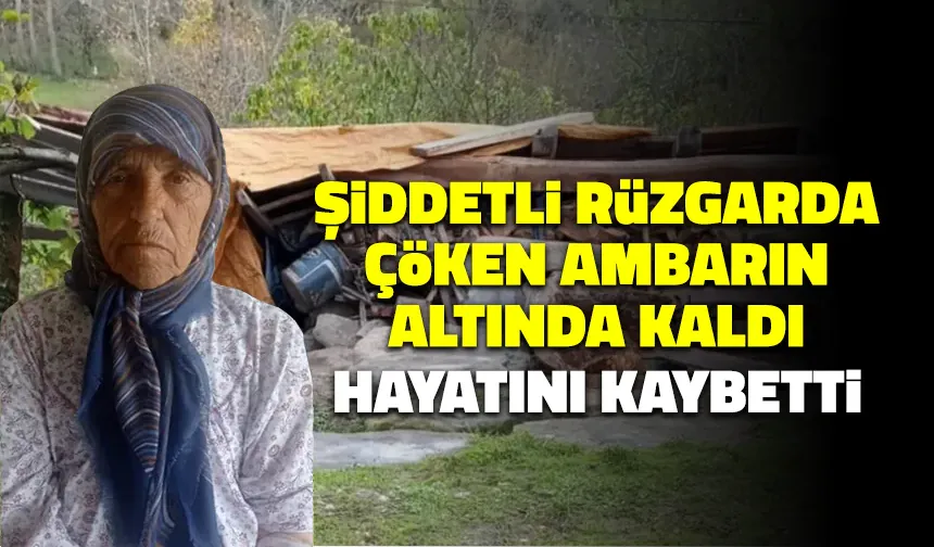 Yiyecek Almak İçin Gittiği Ambar Yaşlı Kadına Mezar Oldu