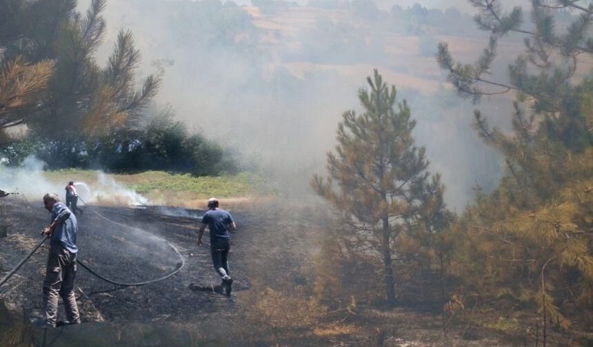 Belören Köyü'nde Çıkan Anız Yangını Ormanlık Alana Sıçradı