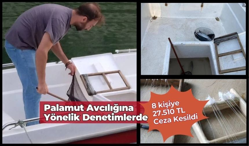 Gerze'de Palamut Avcılığı Denetimlerinde 8 Kişiye 27.510 TL Ceza Kesildi